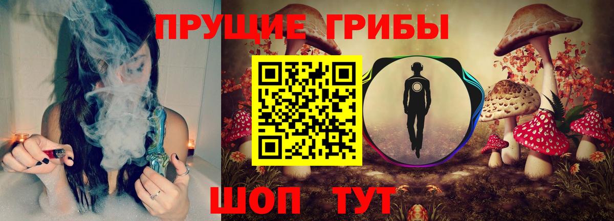 Крымск  Галлюциногенные грибы прущие грибы  Вход с VPN  Галлюциногенные грибы Cubensis 